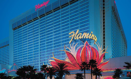 hotels flamingo